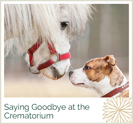 Saying goodbye at the crematorium